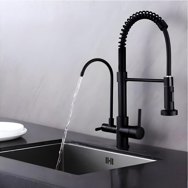 Torneira Cozinha Basic Filtro Black